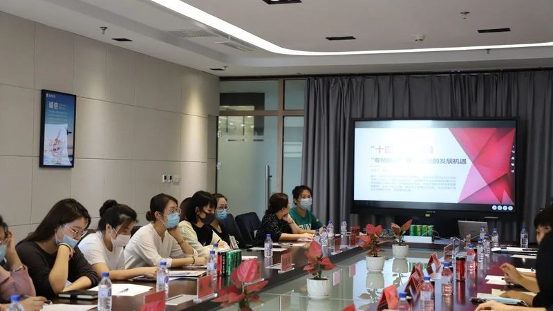桌面运维工程师远程支持，高效技巧揭秘