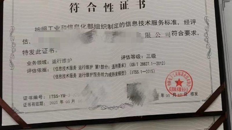 小标题：企业IT外包服务的必要性